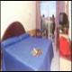 Delfin Siesta Mar Hotel Picture 