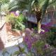 Delfin Siesta Mar Hotel Picture 