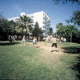 Paschalia Hotel Picture 