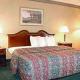 Holiday Inn Bwi Hotel Picture 