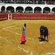 Plaza De Toros De Almaden Hotel Picture 