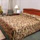Bogota Plaza Hotel Picture 