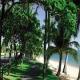 Roydon Beachfront Holiday Apartments Hotel Picture 