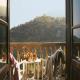 Es Moli Hotel Picture 