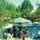 Impiana Resort Cherating Hotel Picture 