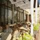 Dolce Vita Hotel Picture 