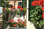 Apostoli Palace Hotel Picture 