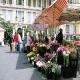 Maeva Orion Residence Les Palmiers Hotel Picture 