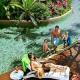 Rydges Esplanade Resort Cairns Hotel Picture 