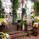 Tornabuoni Beacci Hotel Picture 
