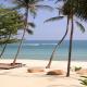 New Star Beach Resort Hotel Picture 