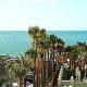 Pelican Pointe Hotel Picture 