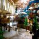 Great Wolf Lodge Niagara Falls Hotel Picture 