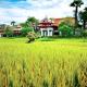 Mandarin Oriental Dhara Dhevi Hotel Picture 