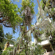 Ambassadeur (Juan-Les-Pins) Hotel Picture 