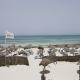 Iberostar Mehari Djerba Hotel Picture 