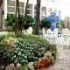 Villa Diana Marina Hotel Picture 
