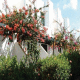 Capri Apartments (1 Bedroom Max 3) Hotel Picture 