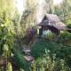 Baan Deva Montra Boutique Resort And Spa Hotel Picture 