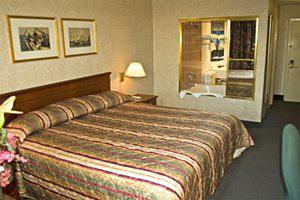 Best Western City View Inn Hotel Picture 5
