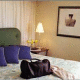 Loews Miami Beach Hotel Picture 