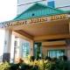 Comfort Suites Perimeter Hotel Picture 