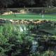 Barton Creek Resort And Spa Hotel Picture 