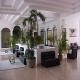 Plaza Las Gaviotas Hotel Picture 