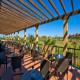 Elba Costa Ballena Hotel Picture 