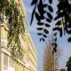 Apartamentos Lux Sevilla Palacio Hotel Picture 