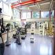Parkhotel Waldeck Spa Resort Picture 