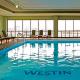 Westin O'Hare Hotel Picture 