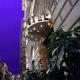 Camelia Hotel Picture 