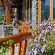 Banff Ptarmigan Inn Hotel Picture 