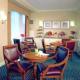 Marriott Chicago Downtown Medical District Hotel Picture 