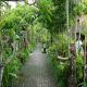 Taman Harum Cottages Hotel Picture 