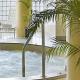 Hyatt Regency Johor Bahru Hotel Picture 