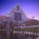 Walt Disney World Dolphin Hotel Picture 