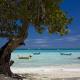 Sanctuary Cap Cana Golf And Spa Hotel Picture 