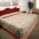 Boardwalk Hotel And Casino Picture 