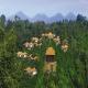 Ubud Hanging Gardens Hotel Picture 