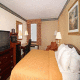 Comfort Inn International Elk Grove Village At O'Hare  Airport Hotel Picture 