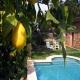 Casa Del Virrey Hotel Picture 