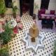 Riad El Farah Hotel Picture 
