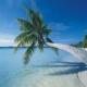 Grand Palladium Jamaica And Lady Hamilton Resort Spa Hotel Picture 