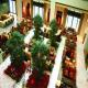 The Ritz-Carlton, Financial Street Hotel Picture 