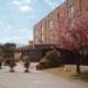 I Ciliegi Hotel Picture 
