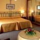 Melia Fernan Gonzalez Hotel Picture 