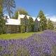 Millbrook Resort Hotel Picture 