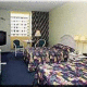 Occidental Grand Aruba Hotel Picture 